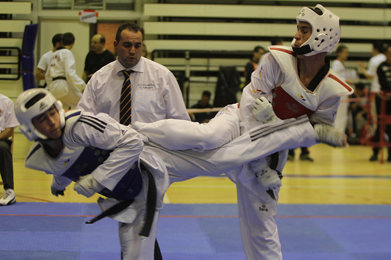 17 medallas en la VI Edici&oacute;n del Torneo Ciudad de Pamplona de Taekwondo